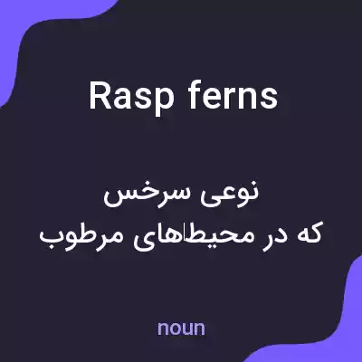 معنی rasp ferns به فارسی معنی rasp ferns به فارسی