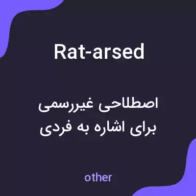 معنی rat-arsed به فارسی معنی rat-arsed به فارسی
