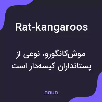 معنی rat-kangaroos به فارسی معنی rat-kangaroos به فارسی