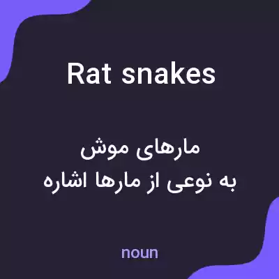 معنی rat snakes به فارسی معنی rat snakes به فارسی