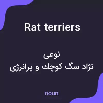 معنی rat terriers به فارسی معنی rat terriers به فارسی