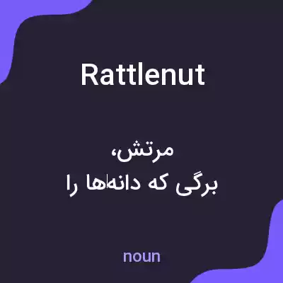 معنی rattlenut به فارسی معنی rattlenut به فارسی