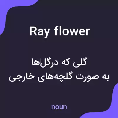 معنی ray flower به فارسی معنی ray flower به فارسی
