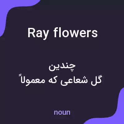 معنی ray flowers به فارسی معنی ray flowers به فارسی