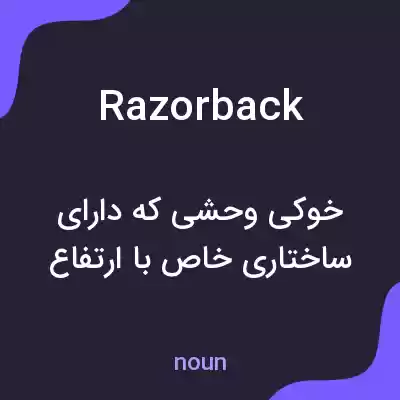 معنی razorback به فارسی معنی razorback به فارسی