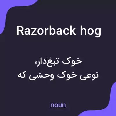 معنی razorback hog به فارسی معنی razorback hog به فارسی
