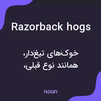 معنی razorback hogs به فارسی معنی razorback hogs به فارسی