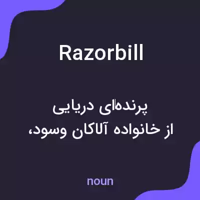 معنی razorbill به فارسی