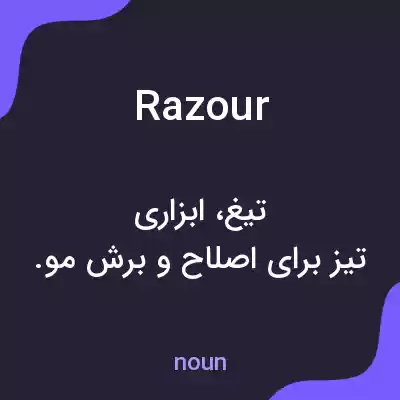 معنی razour به فارسی معنی razour به فارسی