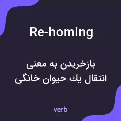 معنی re-homing به فارسی معنی re-homing به فارسی