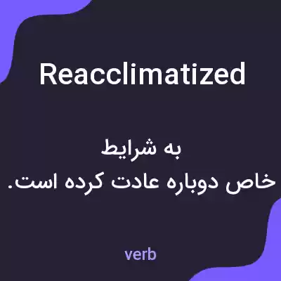 معنی reacclimatized به فارسی معنی reacclimatized به فارسی