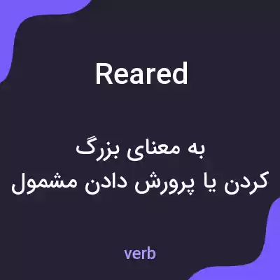 معنی reared به فارسی معنی reared به فارسی