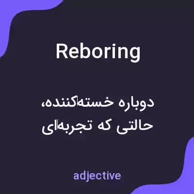 معنی reboring به فارسی