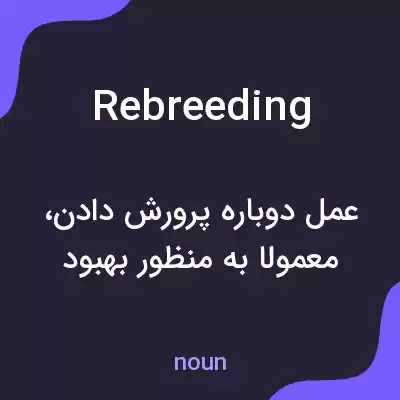 معنی rebreeding به فارسی معنی rebreeding به فارسی