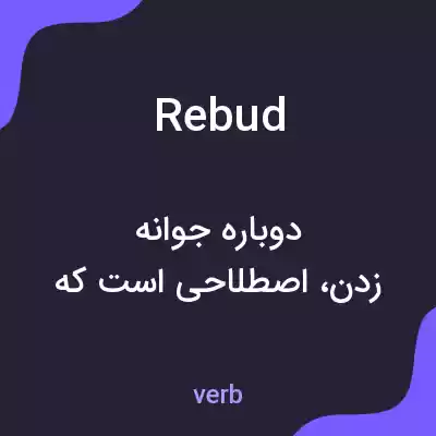 معنی rebud به فارسی معنی rebud به فارسی