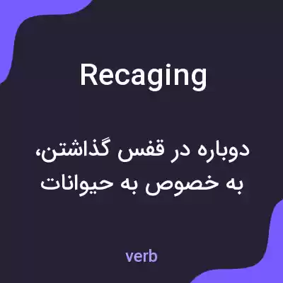 معنی recaging به فارسی معنی recaging به فارسی