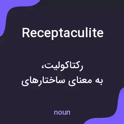 معنی receptaculite به فارسی معنی receptaculite به فارسی