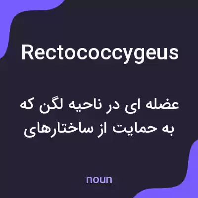 معنی rectococcygeus به فارسی معنی rectococcygeus به فارسی