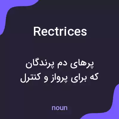 معنی rectrices به فارسی معنی rectrices به فارسی