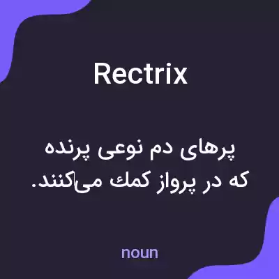 معنی rectrix به فارسی معنی rectrix به فارسی
