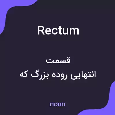 معنی rectum به فارسی معنی rectum به فارسی