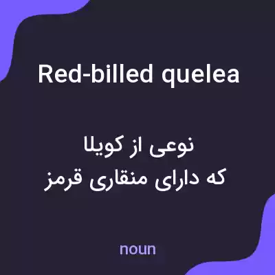 معنی red-billed quelea به فارسی معنی red-billed quelea به فارسی