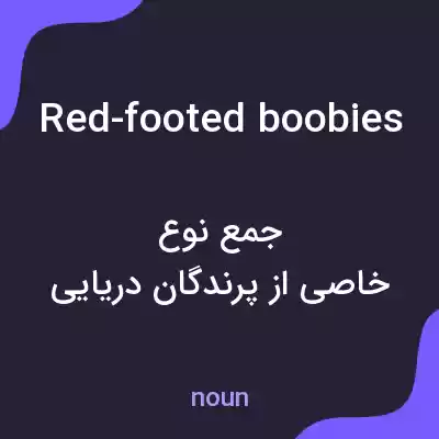 معنی red-footed boobies به فارسی معنی red-footed boobies به فارسی