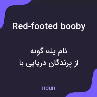 معنی red-footed booby به فارسی