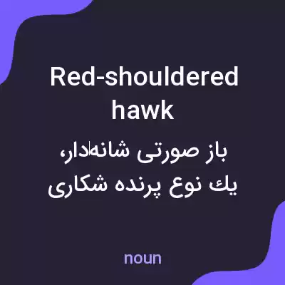 معنی red-shouldered hawk به فارسی معنی red-shouldered hawk به فارسی