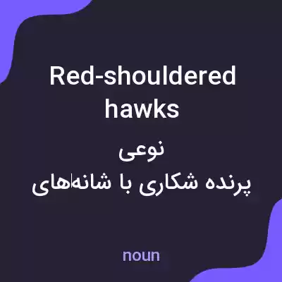 معنی red-shouldered hawks به فارسی معنی red-shouldered hawks به فارسی