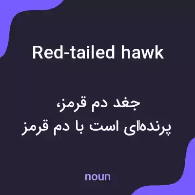 معنی red-tailed hawk به فارسی