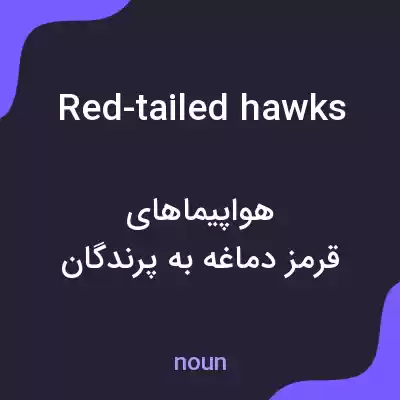 معنی red-tailed hawks به فارسی معنی red-tailed hawks به فارسی