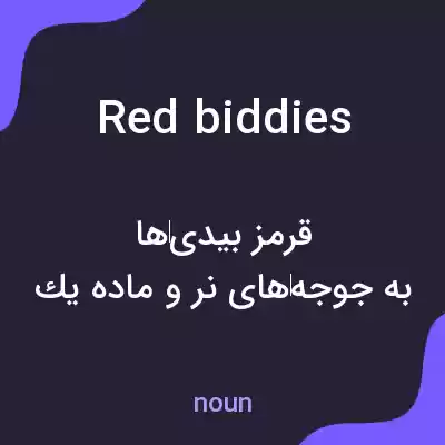 معنی red biddies به فارسی معنی red biddies به فارسی