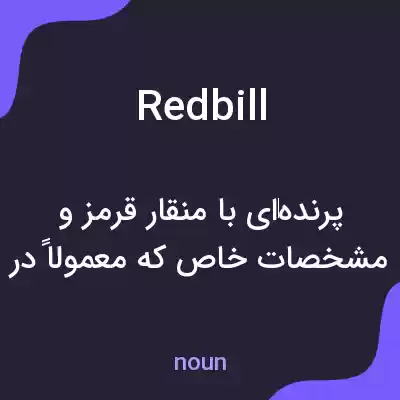 معنی redbill به فارسی معنی redbill به فارسی