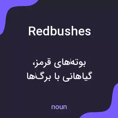 معنی redbushes به فارسی معنی redbushes به فارسی