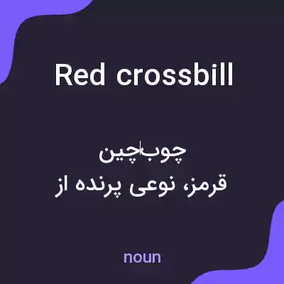 معنی red crossbill به فارسی معنی red crossbill به فارسی