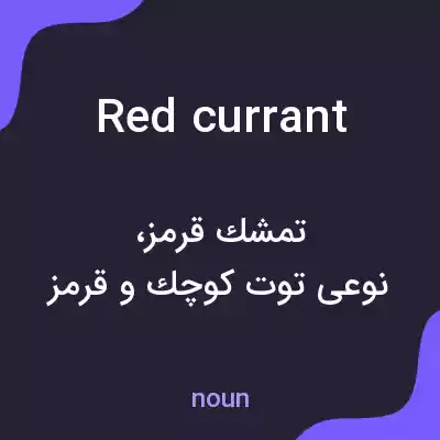 معنی redcurrant به فارسی معنی redcurrant به فارسی