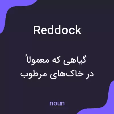 معنی reddock به فارسی معنی reddock به فارسی