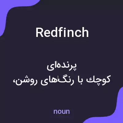 معنی redfinch به فارسی معنی redfinch به فارسی