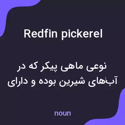 معنی redfin pickerel به فارسی معنی redfin pickerel به فارسی