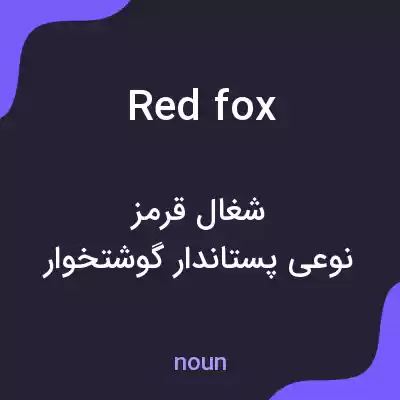 معنی red fox به فارسی معنی red fox به فارسی