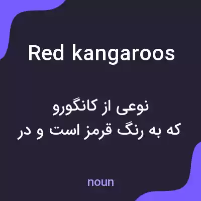 معنی red kangaroos به فارسی معنی red kangaroos به فارسی