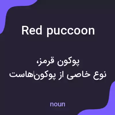 معنی red puccoon به فارسی معنی red puccoon به فارسی