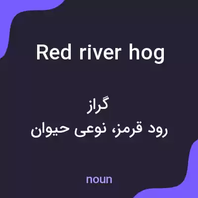 معنی red river hog به فارسی معنی red river hog به فارسی