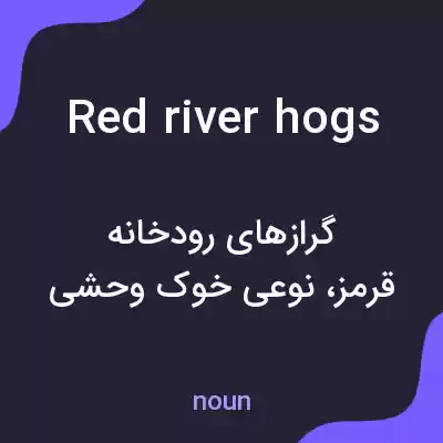 معنی red river hogs به فارسی معنی red river hogs به فارسی