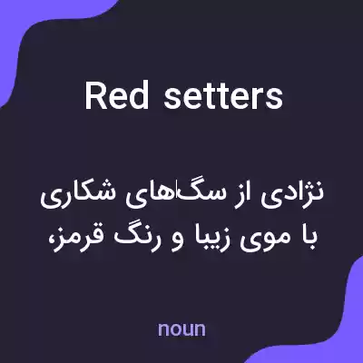 معنی red setters به فارسی معنی red setters به فارسی