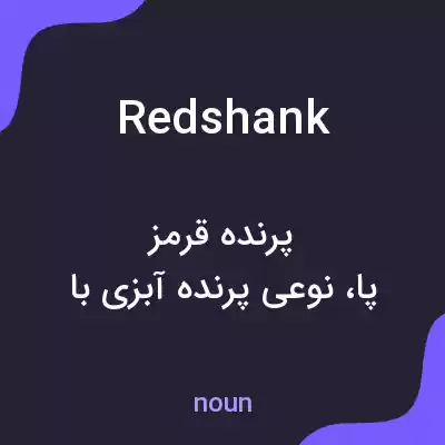 معنی redshank به فارسی معنی redshank به فارسی