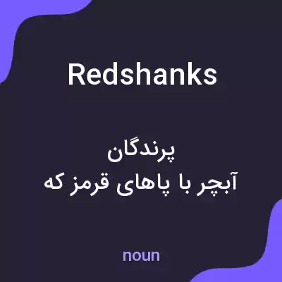 معنی redshanks به فارسی معنی redshanks به فارسی