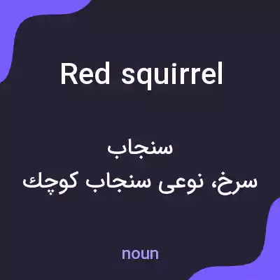 معنی red squirrel به فارسی معنی red squirrel به فارسی