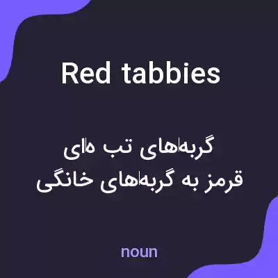 معنی red tabbies به فارسی